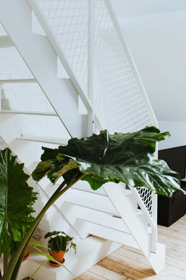 Musa Antwerp Exterior photo